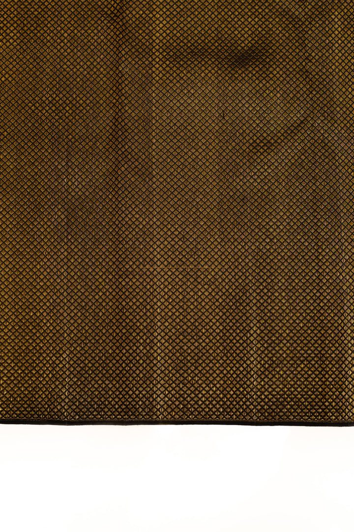 Black Borderless Brocade pure Kanchipuram silk saree