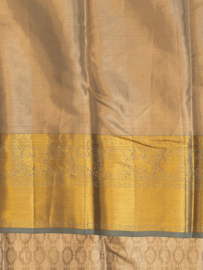 Pastel Blue and Silver pure tissue Kanchipuram silk saree