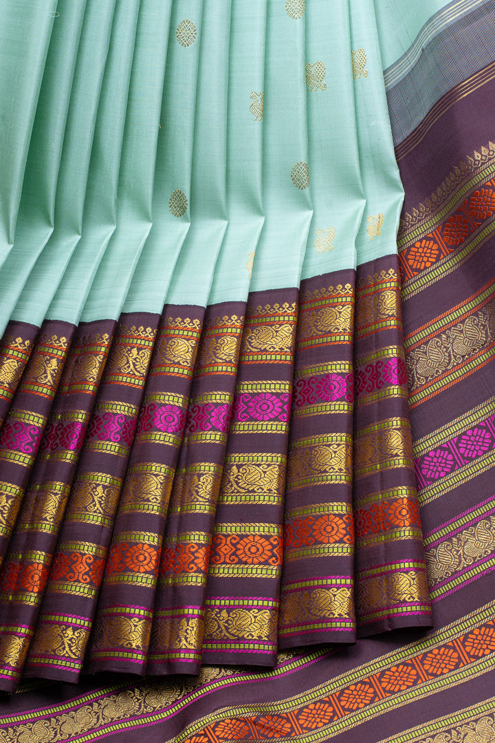 Pastel Blue and brown varisaipettu pure kanchipuram silk saree