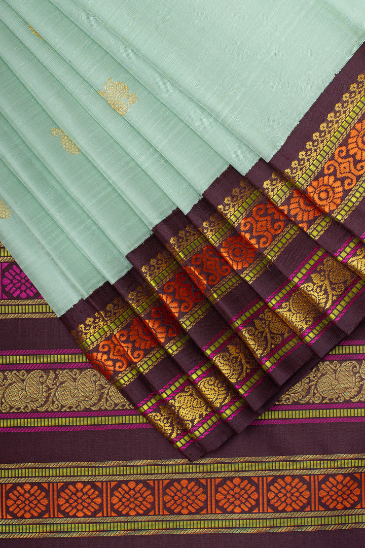 Pastel Blue and brown varisaipettu pure kanchipuram silk saree