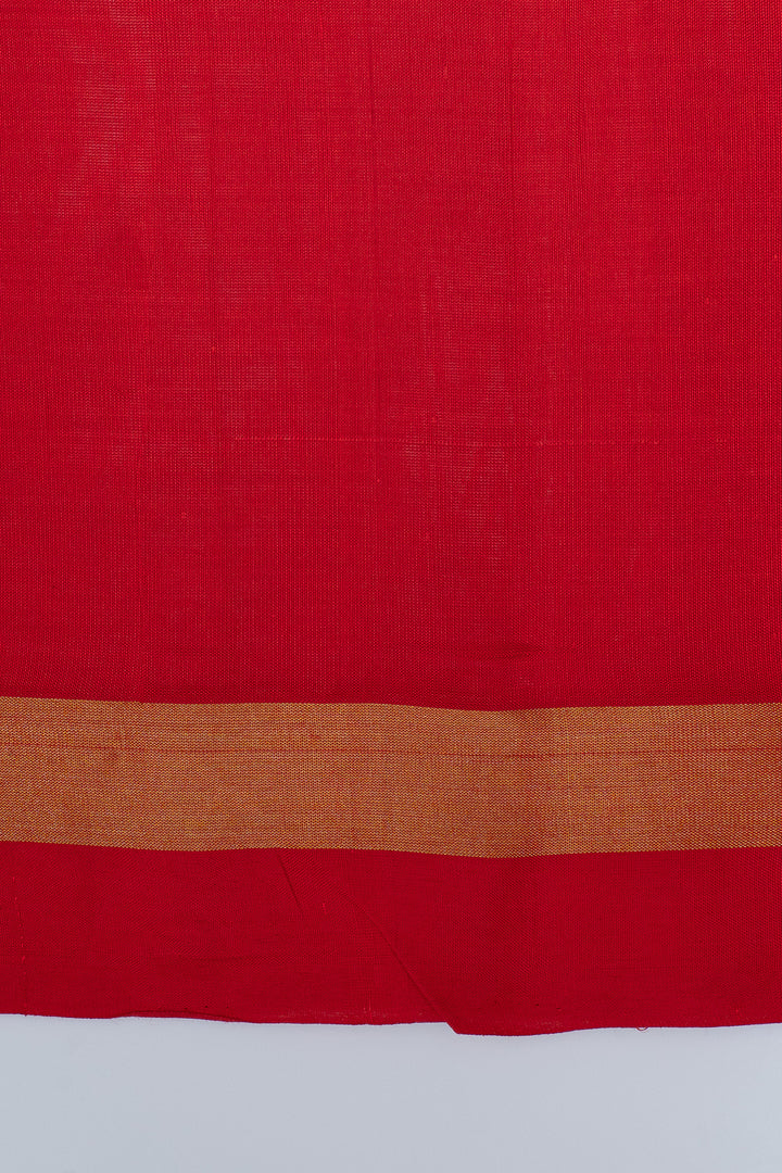Off white stripes pure silk cotton saree