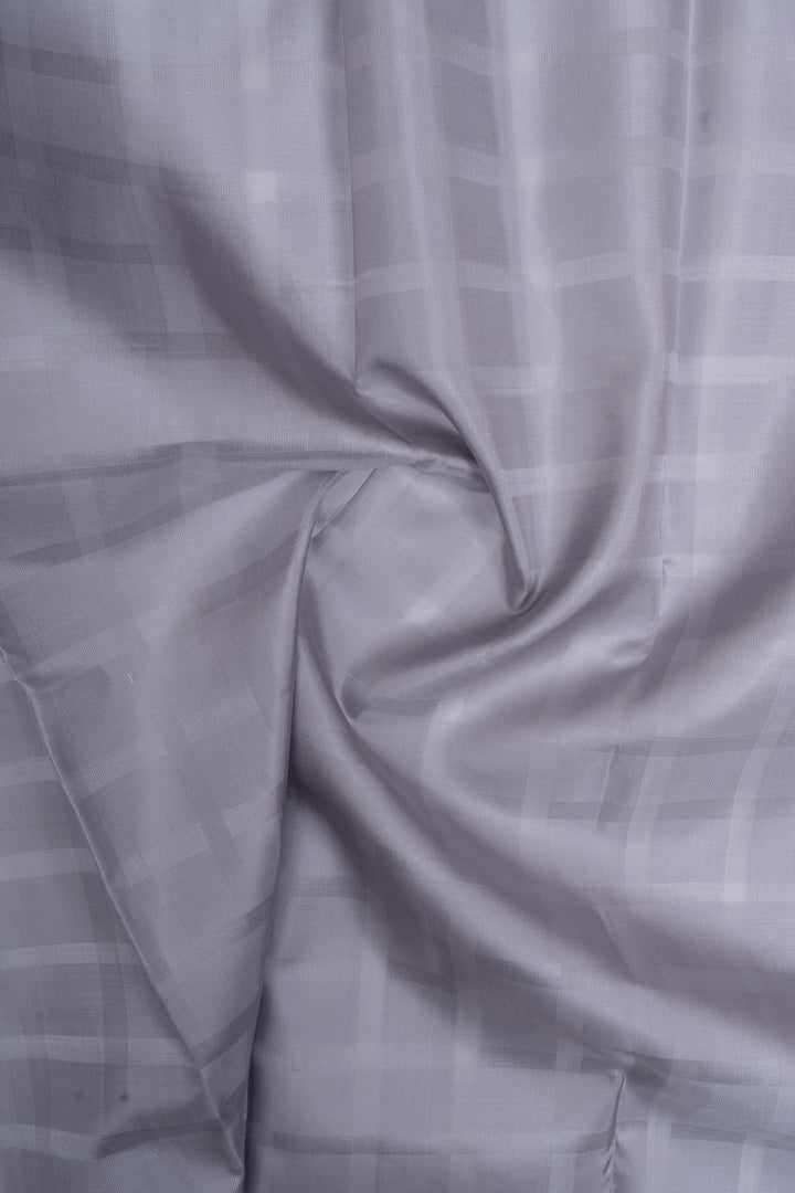 Grey dupian checks borderless pure kanchipuram silk saree