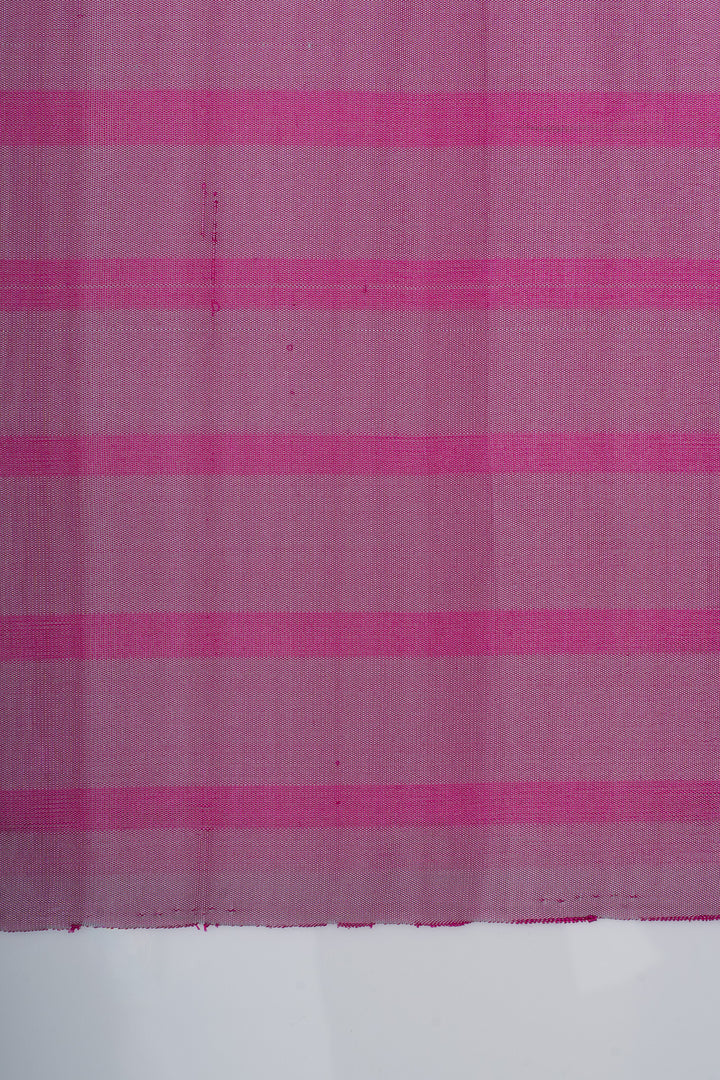 Grey dupian checks borderless pure kanchipuram silk saree