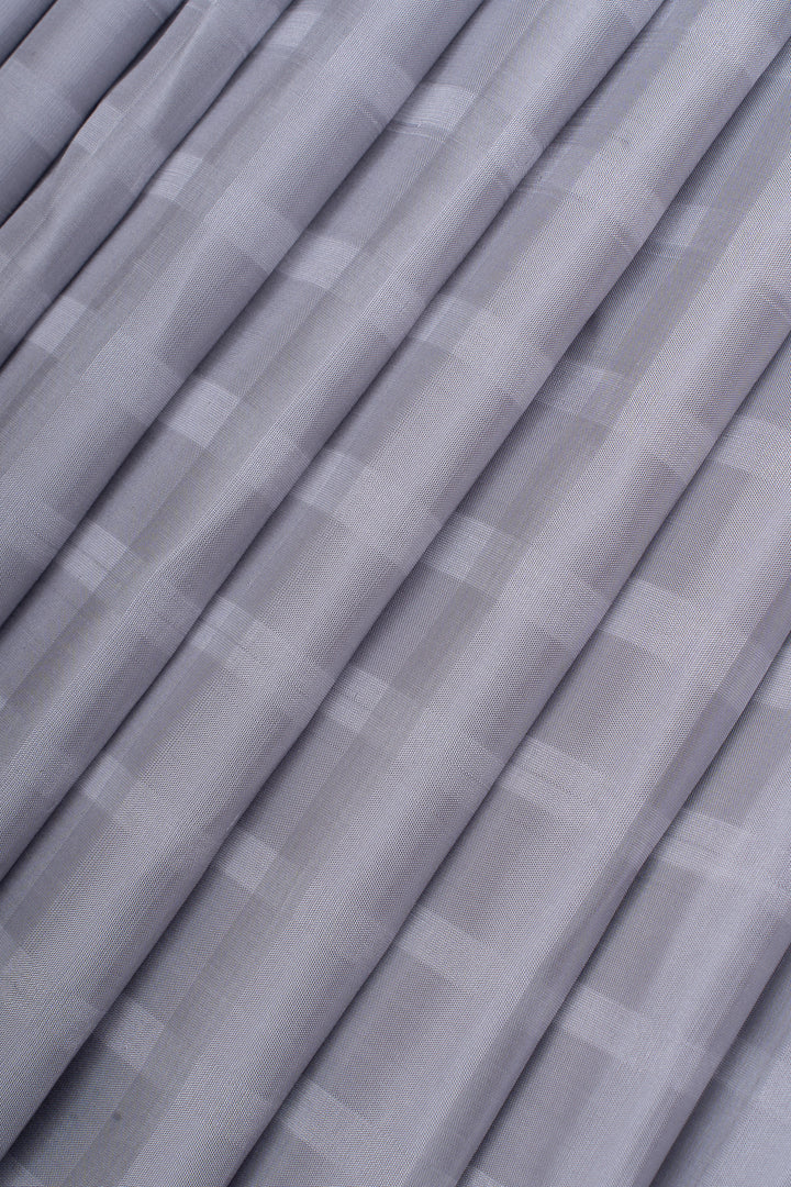 Grey dupian checks borderless pure kanchipuram silk saree