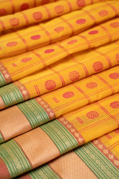 Mustard Thread Checks Pure Kanchi Cotton Saree - Clio Silks