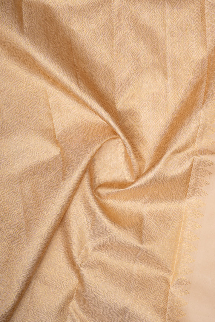 Pastel Palum pazhamum checks pure kanchipuram silk saree