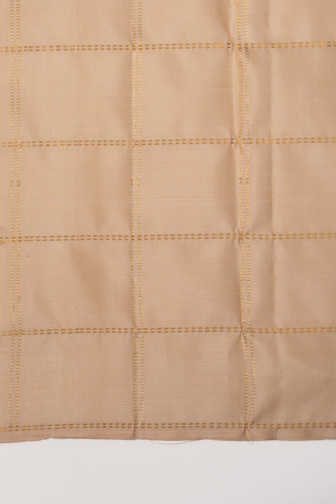 Pastel Palum pazhamum checks pure kanchipuram silk saree