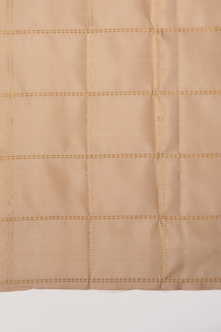 Pastel Palum pazhamum checks pure kanchipuram silk saree