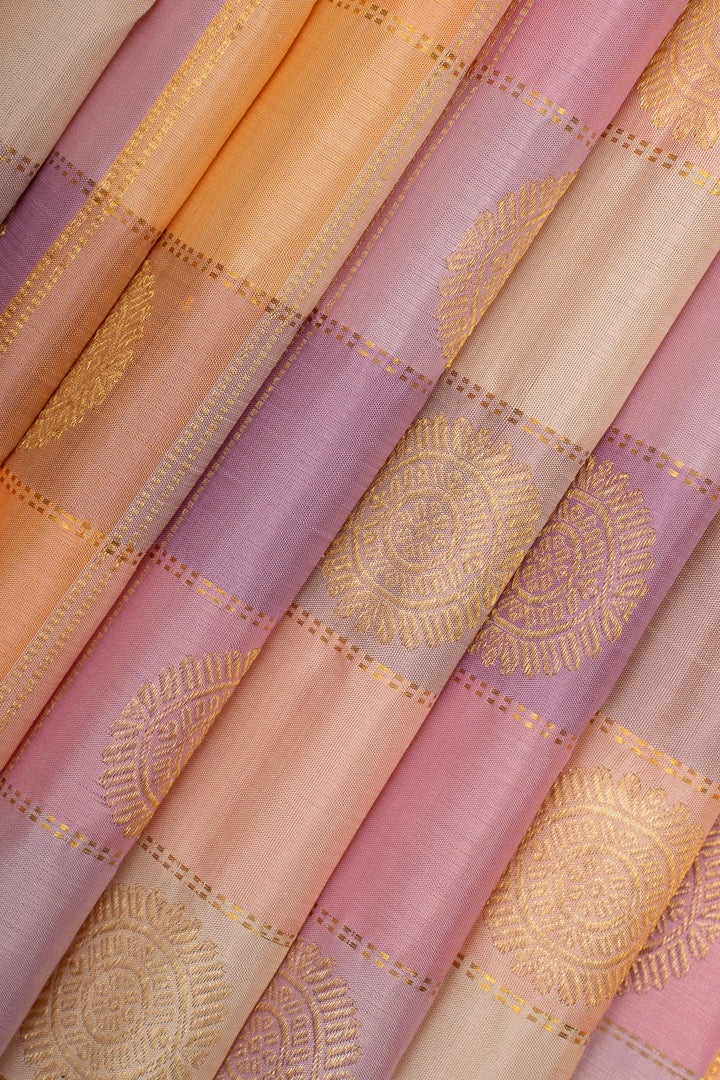 Pastel Palum pazhamum checks pure kanchipuram silk saree