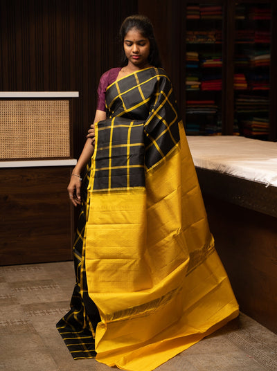 Black Borderless Checks Pure Kanchipuram Silk Saree - Clio Silks