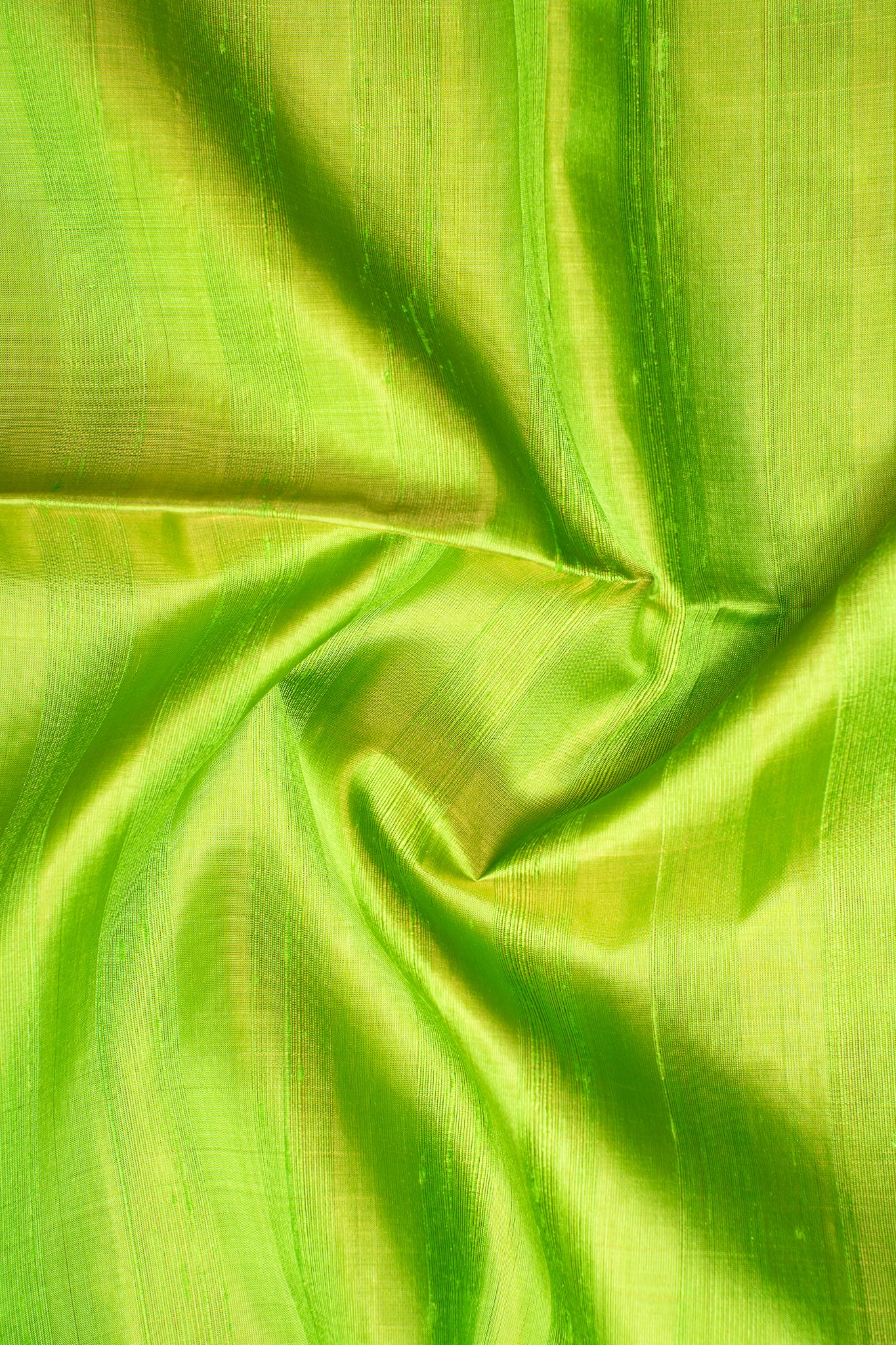 Beige and Parrot Green Dupian Pure Silk Saree - Clio Silks