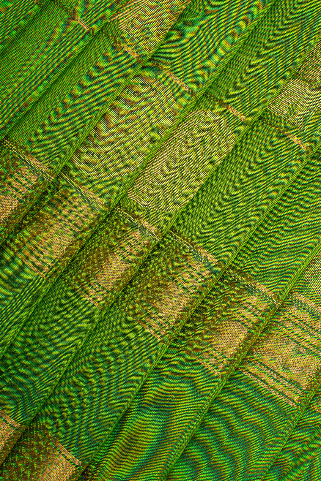 Leaf Green Paisley Motifs Pure Silk Cotton Saree