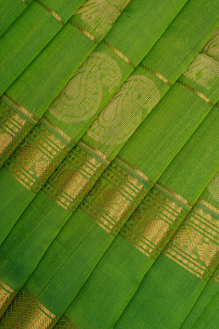 Leaf Green Paisley Motifs Pure Silk Cotton Saree