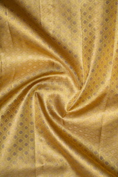 Gold and Silver Floral Tissue Brocade Fancy Kanchipuram Silk Saree - Clio Silks