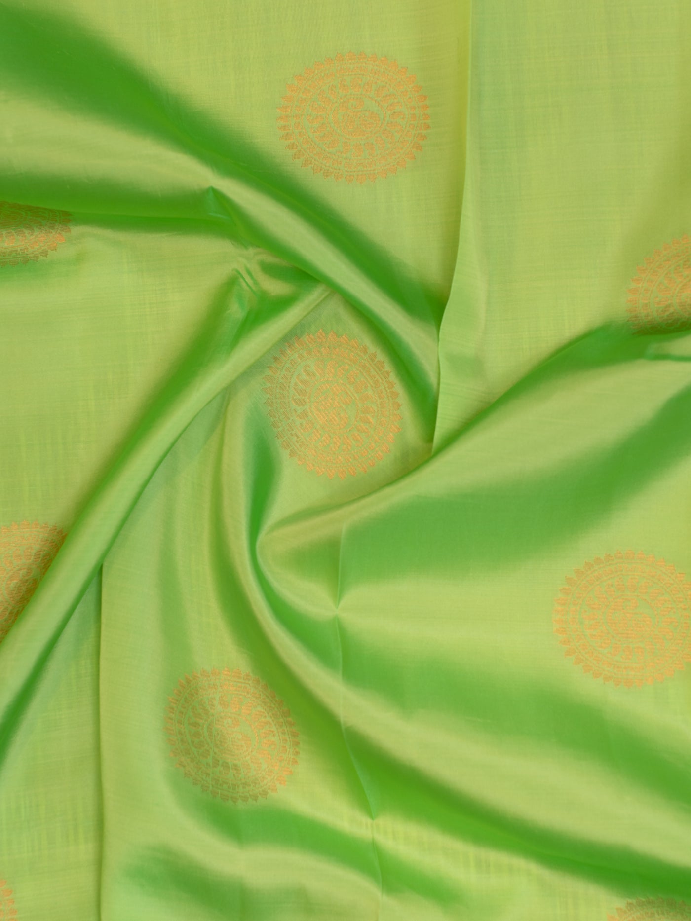 Parrot green and blue borderless silk saree