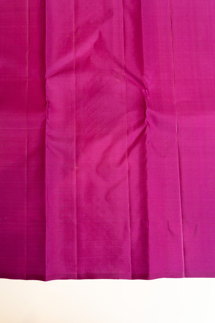 Black borderless zari panel pure Kanchipuram silk saree