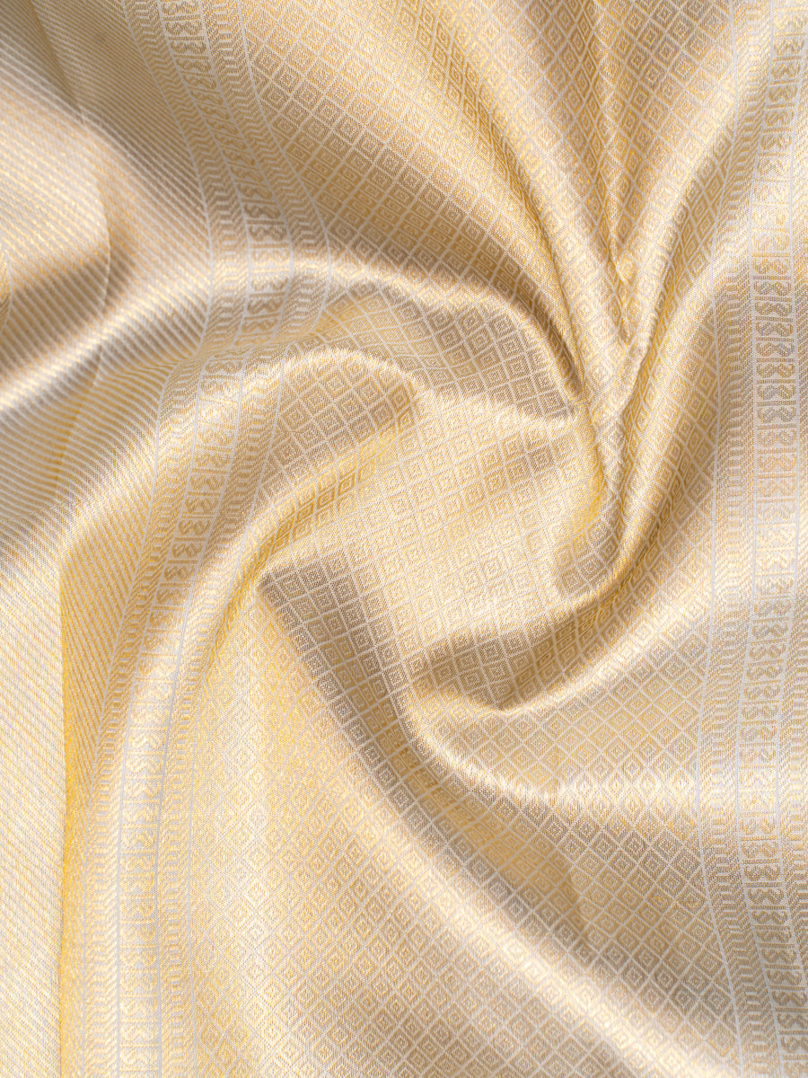 Grey Pure Kanchipuram Silk Saree - Clio Silks