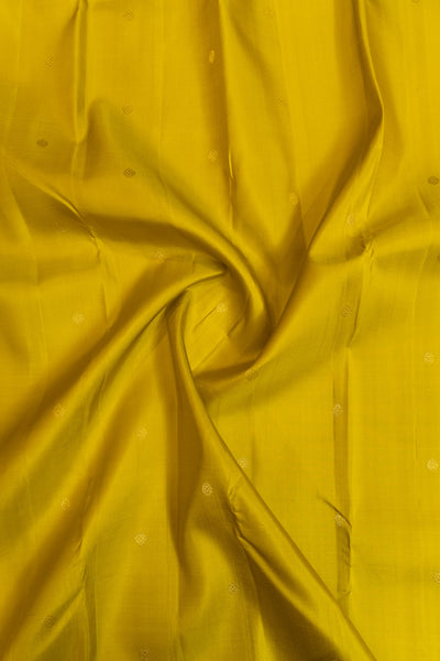 Mustard gold small border pure Kanchipuram silk saree