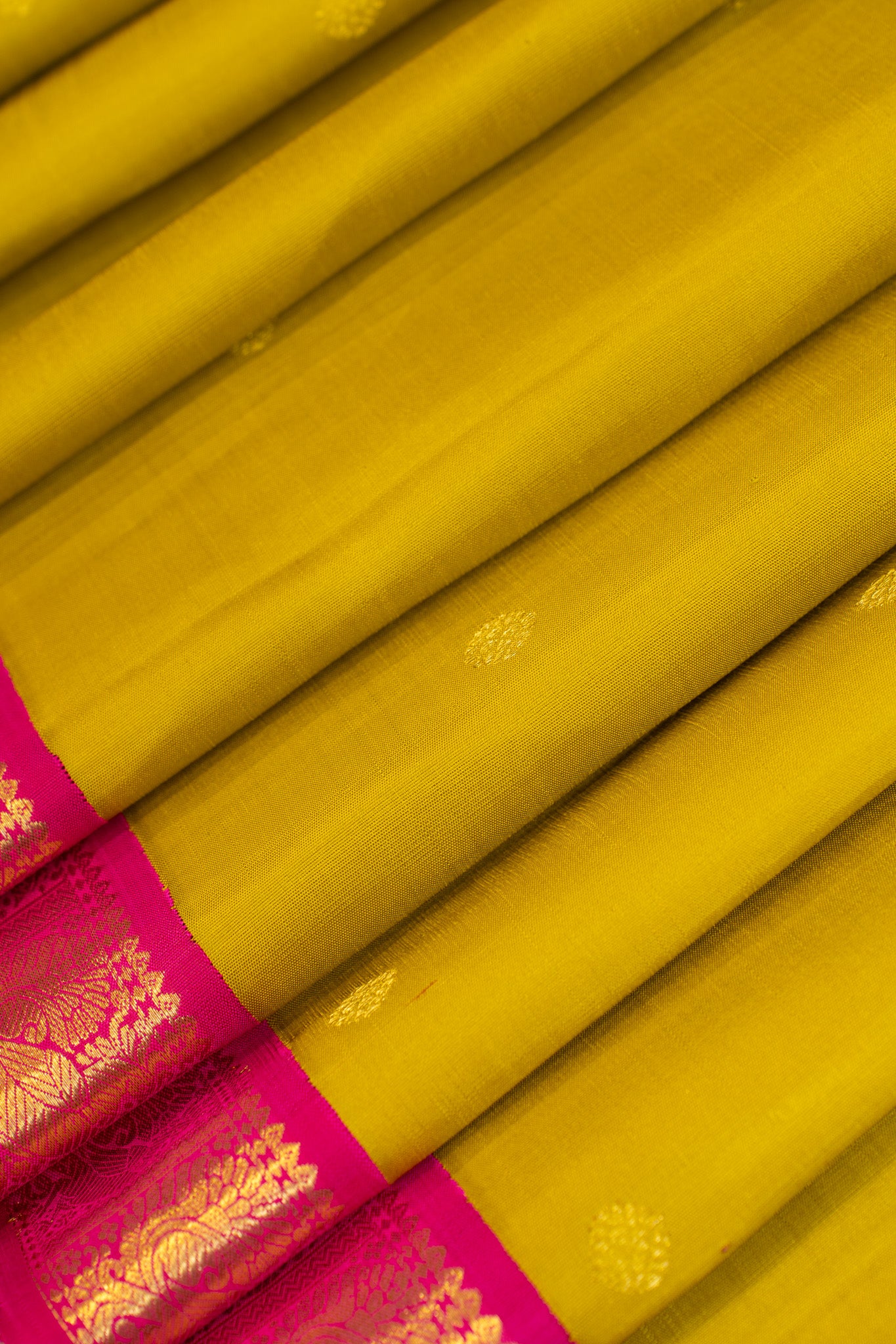 Mustard gold small border pure Kanchipuram silk saree