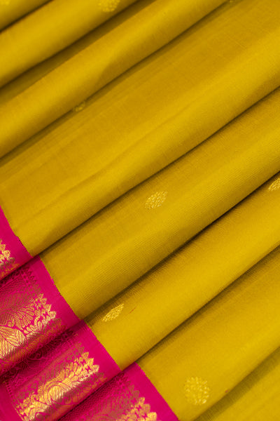 Mustard gold small border pure Kanchipuram silk saree