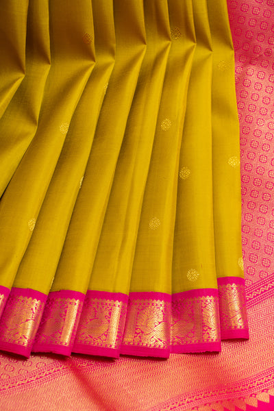 Mustard gold small border pure Kanchipuram silk saree