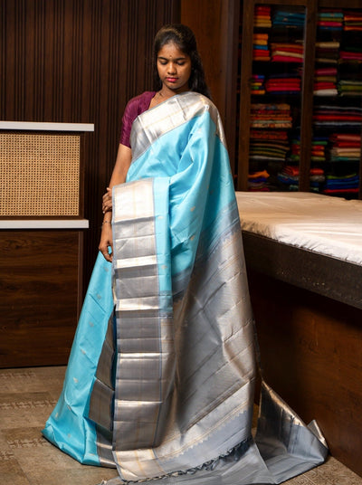 Sky Blue and Grey Pure Kanchipuram Silk Saree - Clio Silks