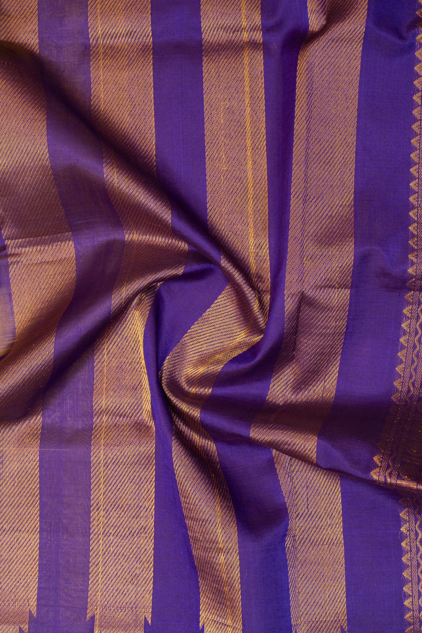 Golden yellow and MS blue pattu borders pure silk cotton saree