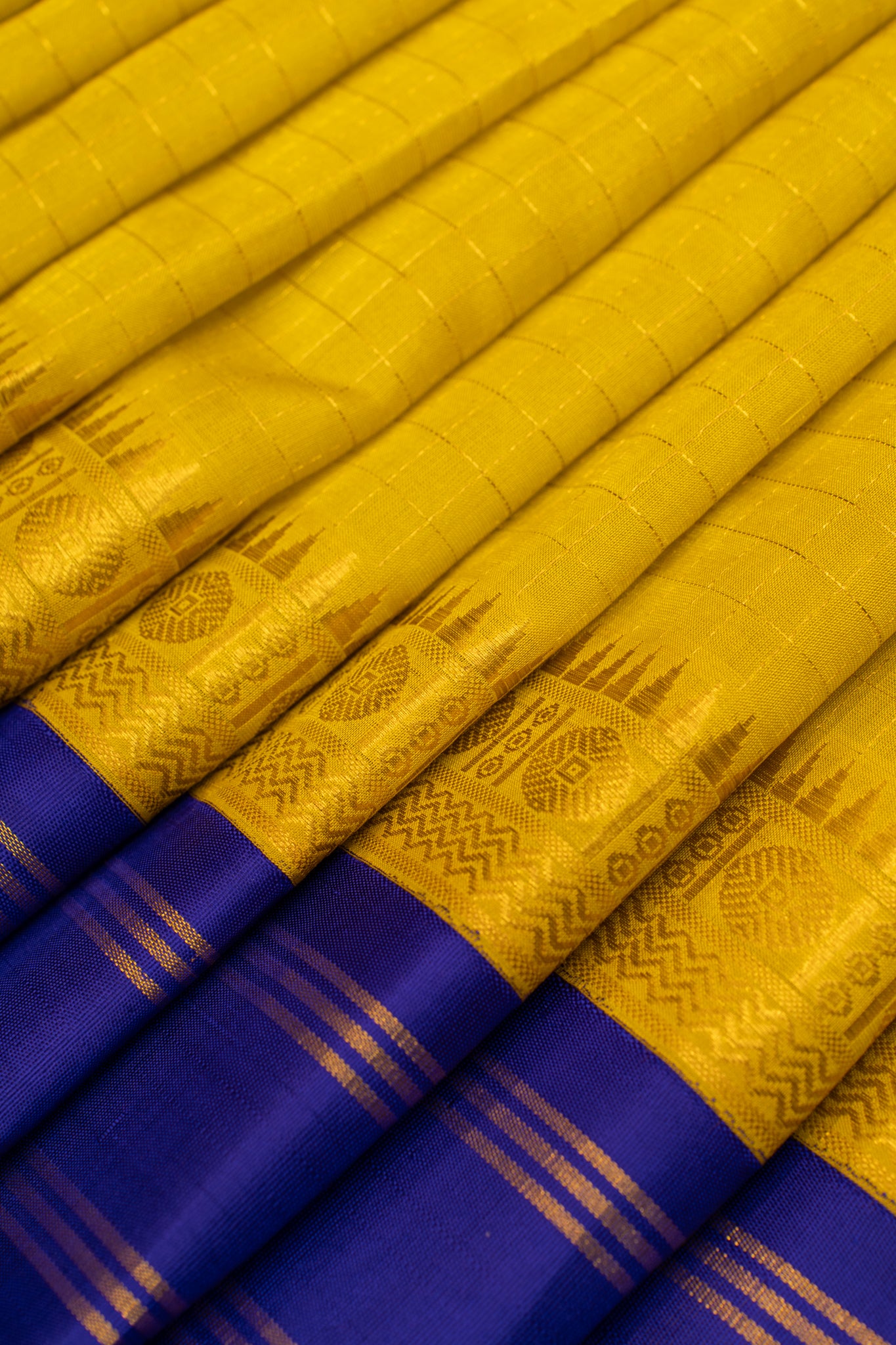 Golden yellow and MS blue pattu borders pure silk cotton saree