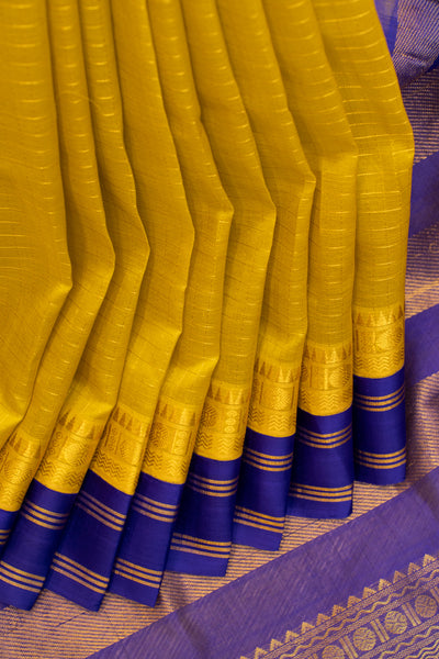 Golden yellow and MS blue pattu borders pure silk cotton saree