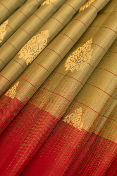 Sage green and red stripes pure soft silk saree