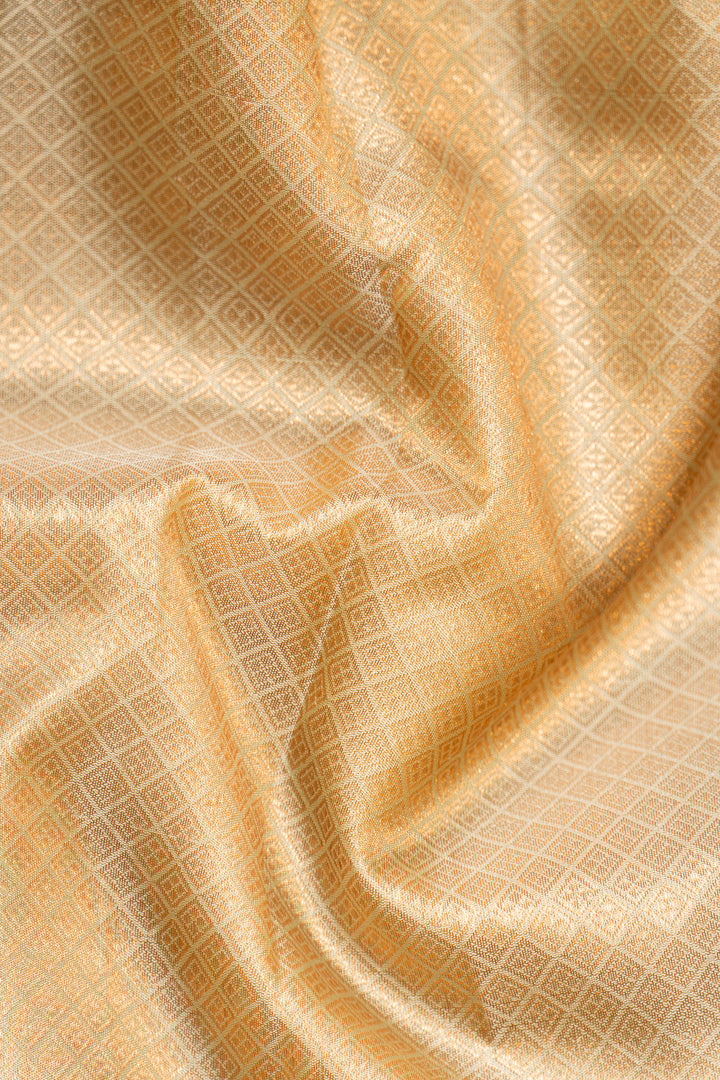 Pastel Green Pure Kanchipuram Silk Saree - Clio Silks