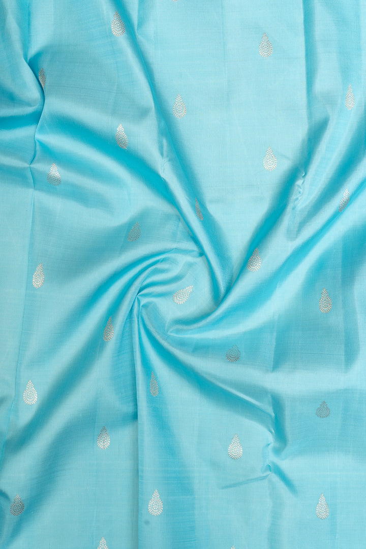 Sky Blue and Grey Pure Kanchipuram Silk Saree - Clio Silks