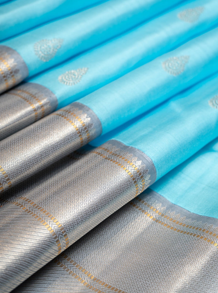 Sky Blue and Grey Pure Kanchipuram Silk Saree - Clio Silks