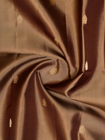 Brown Butties and Gold Soft Silk Saree | Clio Silks