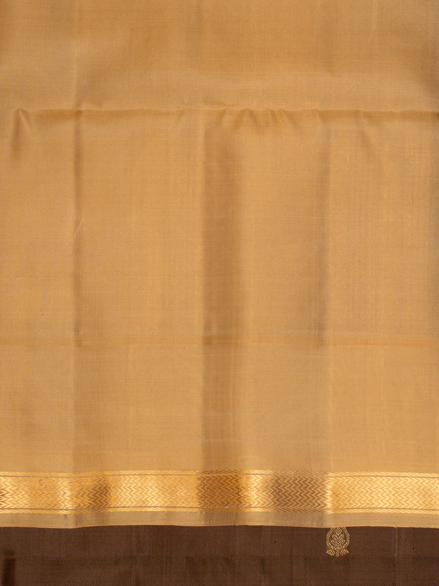 Brown Butties and Gold Soft Silk Saree | Clio Silks