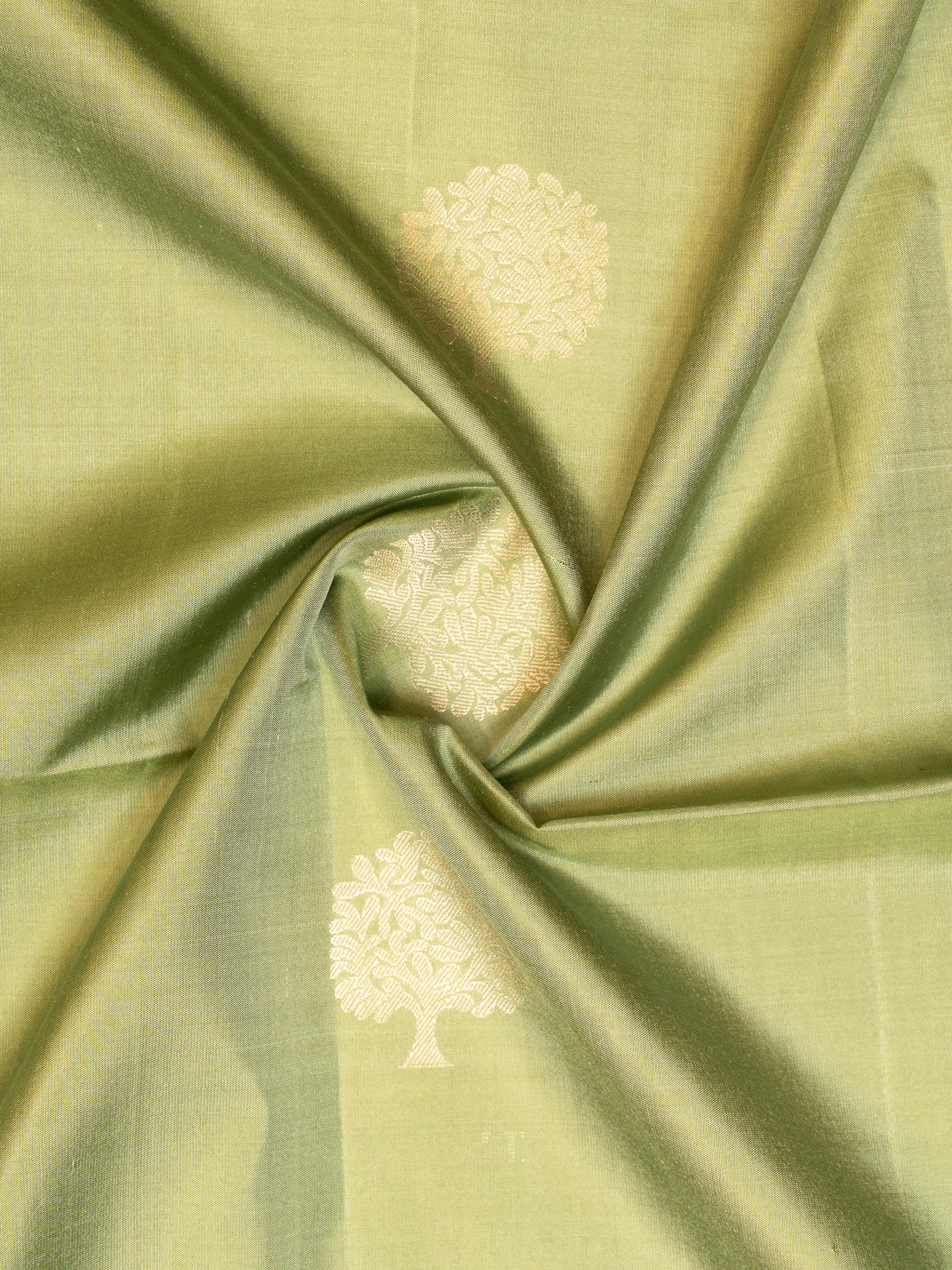 Sage Green and Beige Soft Silk Saree | Clio Silks