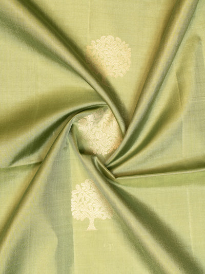 Sage Green and Beige Soft Silk Saree | Clio Silks