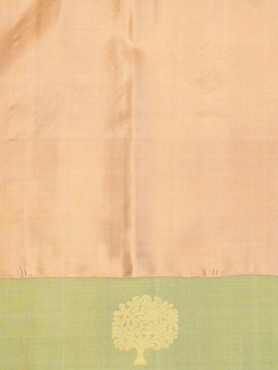 Sage Green and Beige Soft Silk Saree | Clio Silks