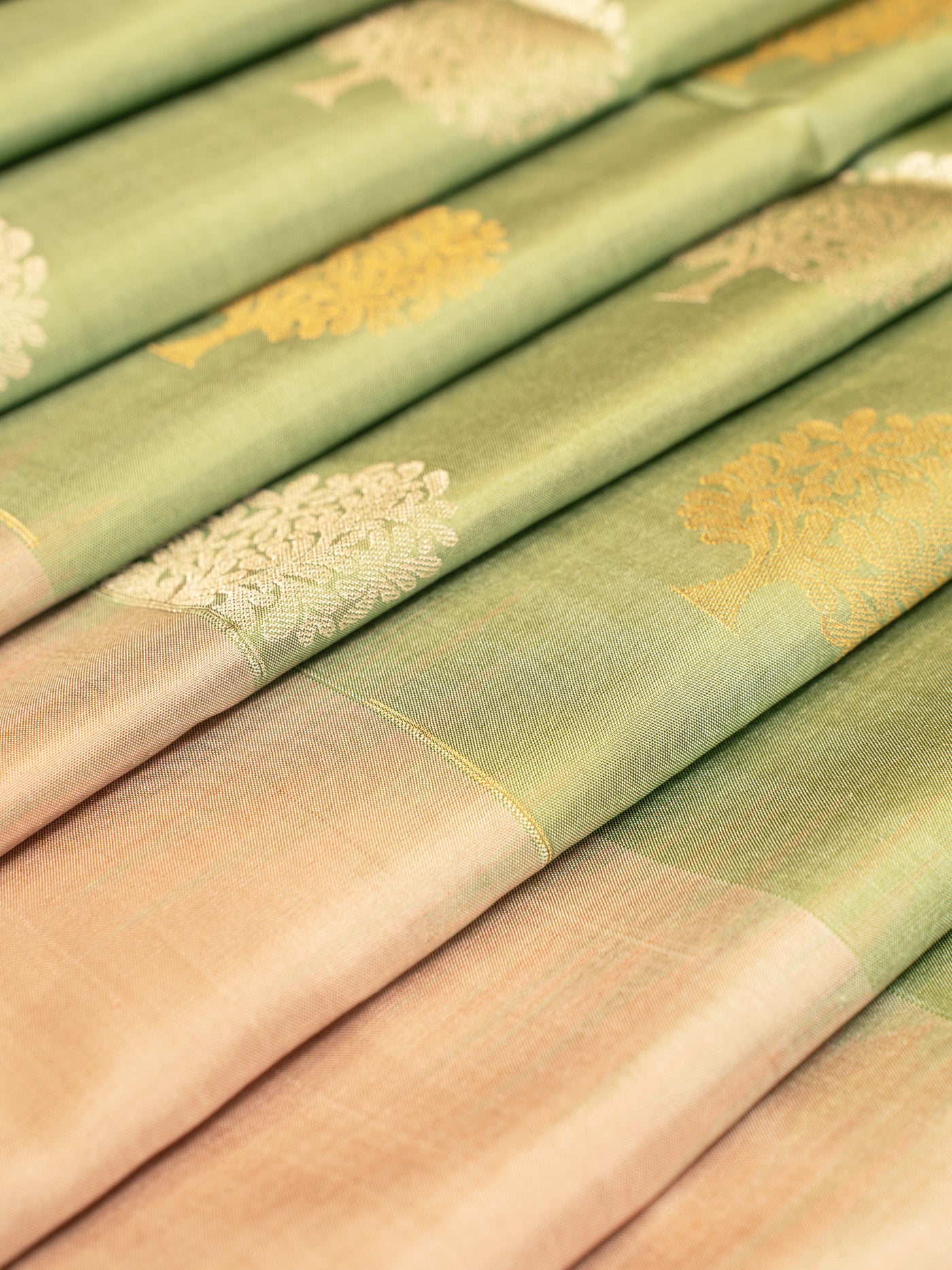 Sage Green and Beige Soft Silk Saree | Clio Silks