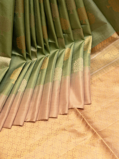 Sage Green and Beige Soft Silk Saree | Clio Silks