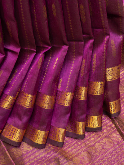 Purple rettai pettu pure silk cotton saree