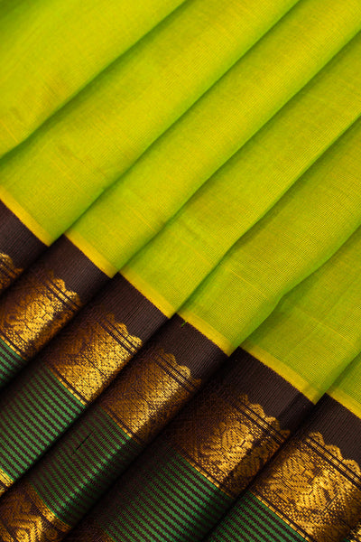 Sampanga green and brown pure silk cotton saree