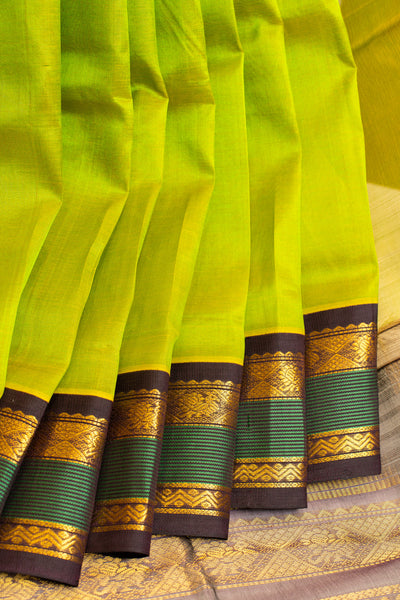 Sampanga green and brown pure silk cotton saree