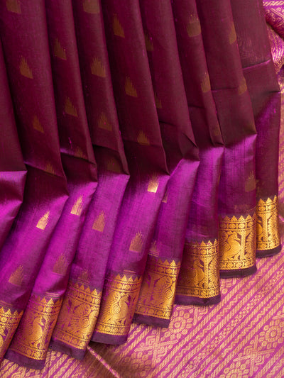 Magenta purple temple pure silk cotton saree