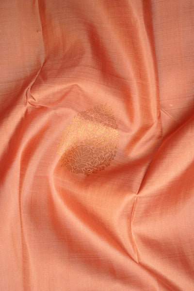 Coral Peach Pastel Pure Kanchipuram Silk Saree - Clio Silks