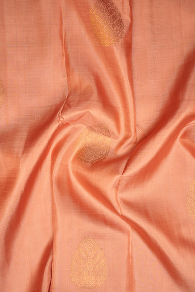 Coral Peach Pastel Pure Kanchipuram Silk Saree - Clio Silks