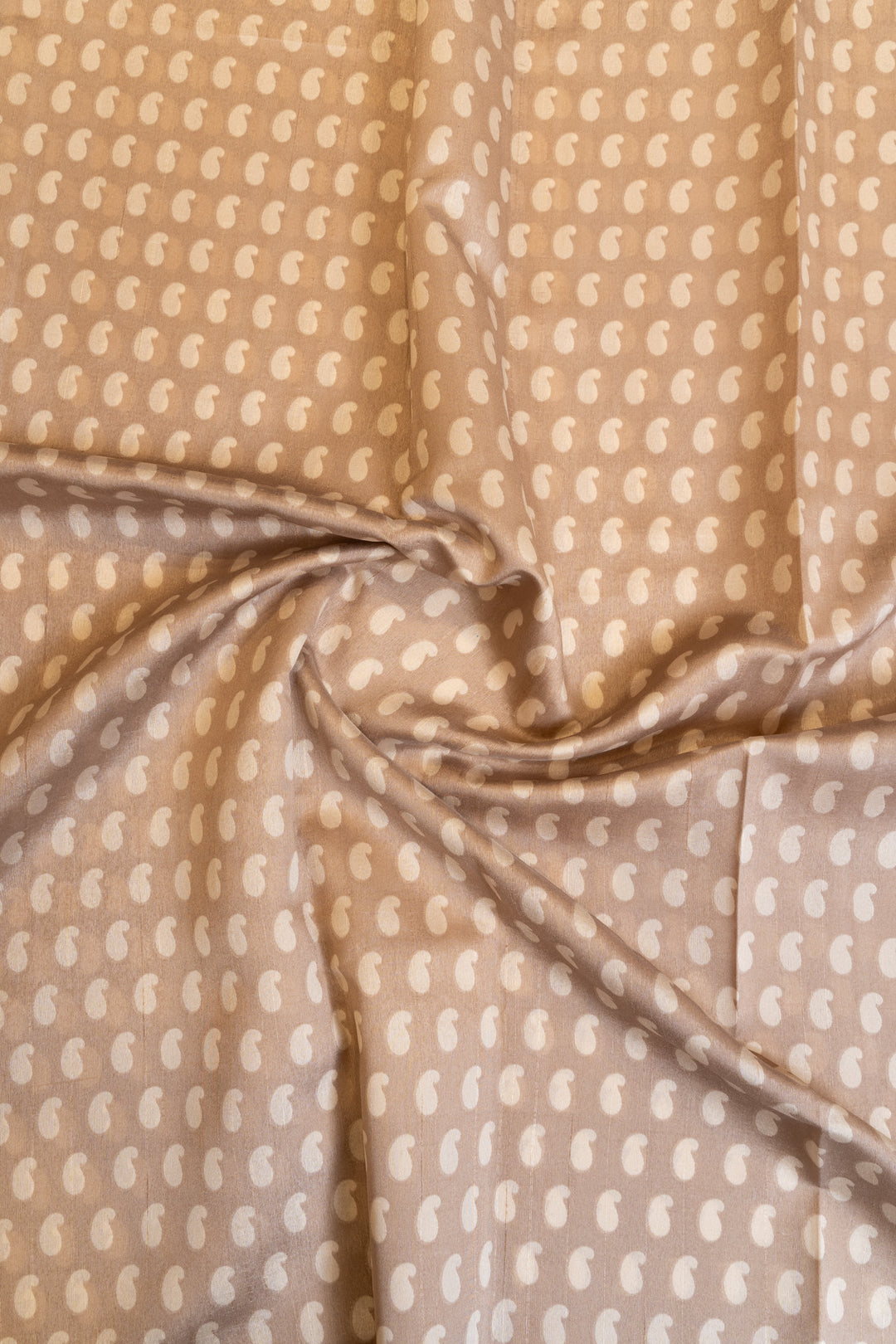 Beige mango printed embroidered border Tussar saree