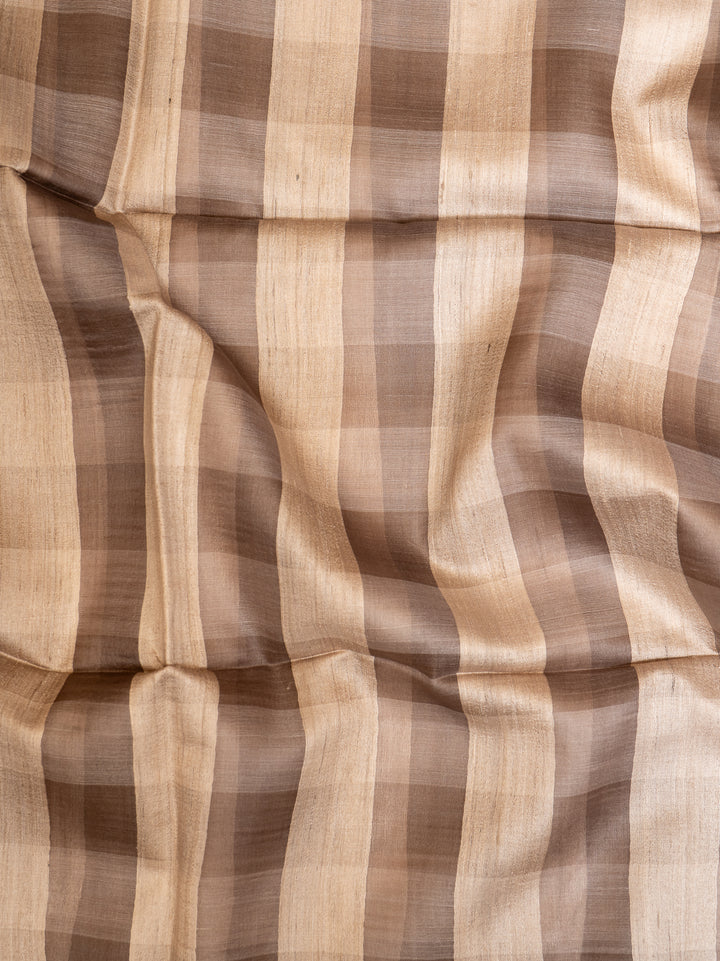 Beige Checks Pure Organza Tussar Designer Saree - Clio Silks