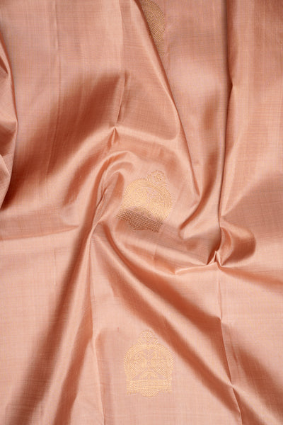 Apricot Peach Pastel Pure Kanchipuram Silk Saree - Clio Silks