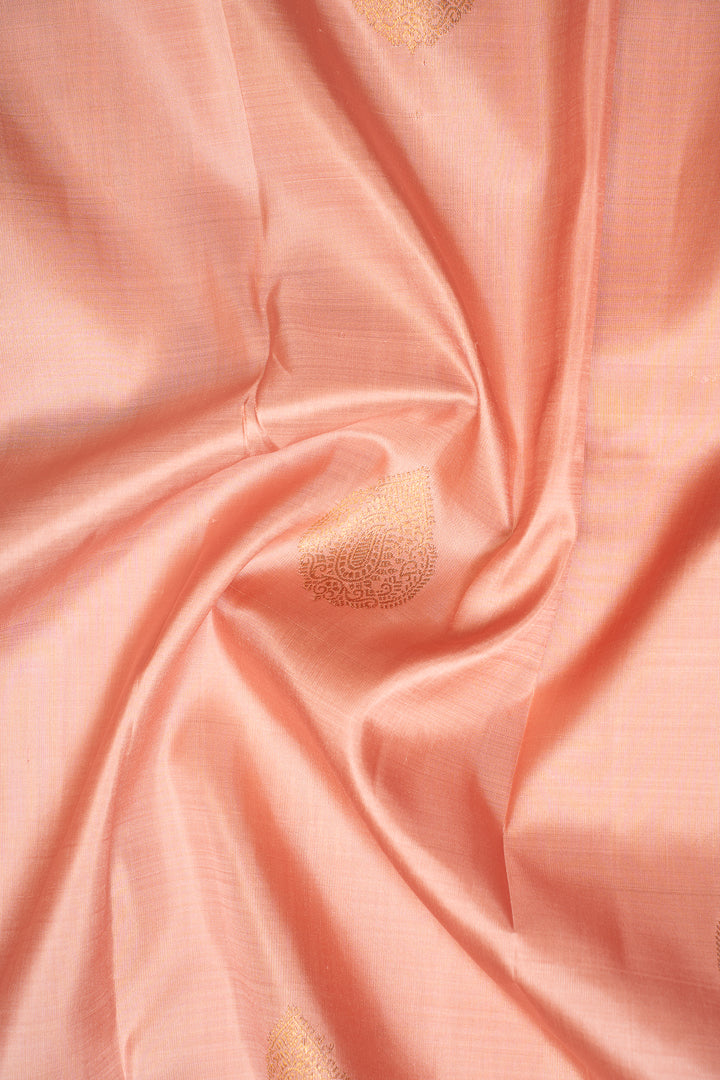 Salmon Peach Pastel Pure Kanchipuram Silk Saree - Clio Silks